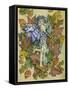 Winter Leaf Fairy-Linda Ravenscroft-Framed Stretched Canvas