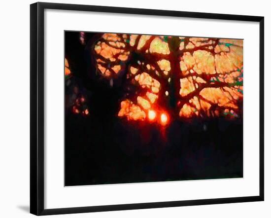 Winter Light, 2019,-Helen White-Framed Giclee Print