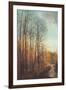 Winter Light I-Amy Melious-Framed Art Print