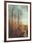 Winter Light I-Amy Melious-Framed Art Print