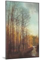 Winter Light I-Amy Melious-Mounted Art Print