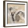 Winter Light-Nancy Ortenstone-Framed Giclee Print