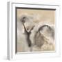 Winter Light-Nancy Ortenstone-Framed Giclee Print