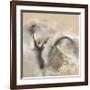 Winter Light-Nancy Ortenstone-Framed Giclee Print