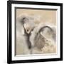 Winter Light-Nancy Ortenstone-Framed Giclee Print