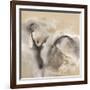 Winter Light-Nancy Ortenstone-Framed Art Print