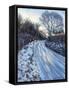 Winter Light-Tilly Willis-Framed Stretched Canvas