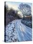 Winter Light-Tilly Willis-Stretched Canvas