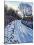 Winter Light-Tilly Willis-Stretched Canvas