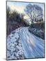 Winter Light-Tilly Willis-Mounted Giclee Print