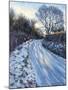 Winter Light-Tilly Willis-Mounted Giclee Print