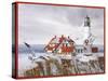 Winter Lighthouse-William Vanderdasson-Stretched Canvas