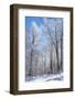 Winter Line-Philippe Sainte-Laudy-Framed Photographic Print