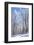 Winter Line-Philippe Sainte-Laudy-Framed Photographic Print