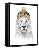 Winter Lion-Balazs Solti-Framed Stretched Canvas