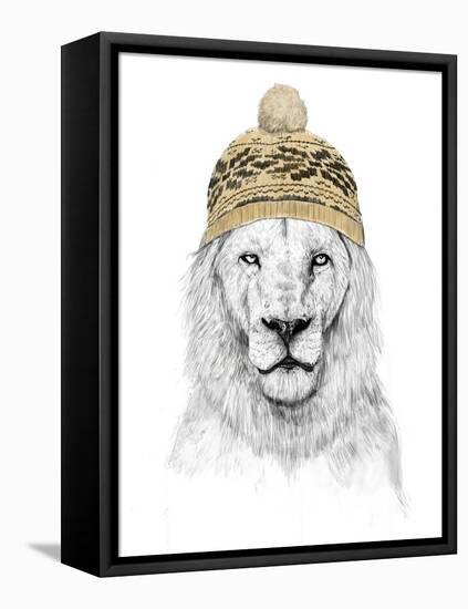 Winter Lion-Balazs Solti-Framed Stretched Canvas