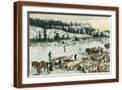 Brown Frame