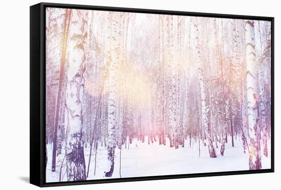 Winter Magic Birch Grove-Ataly-Framed Stretched Canvas