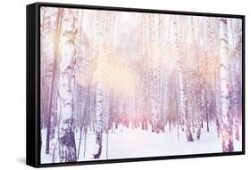 Winter Magic Birch Grove-Ataly-Framed Stretched Canvas