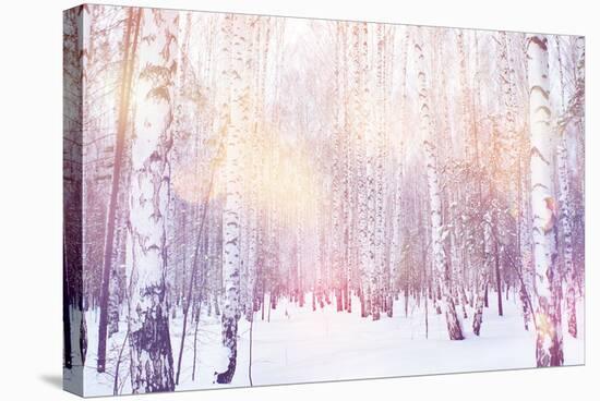 Winter Magic Birch Grove-Ataly-Stretched Canvas