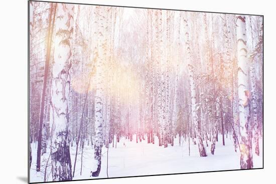 Winter Magic Birch Grove-Ataly-Mounted Photographic Print