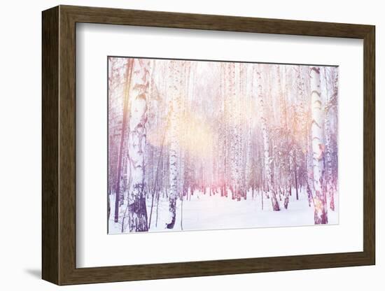 Winter Magic Birch Grove-Ataly-Framed Photographic Print