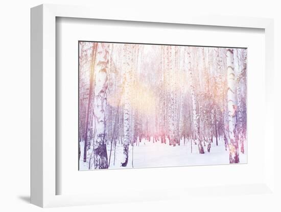 Winter Magic Birch Grove-Ataly-Framed Photographic Print