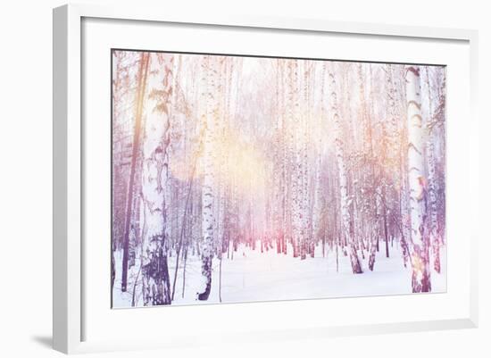 Winter Magic Birch Grove-Ataly-Framed Photographic Print