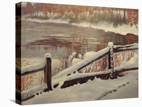 Winter Magic-Rusty Frentner-Stretched Canvas