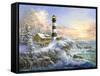 Winter Majesty-Nicky Boehme-Framed Stretched Canvas