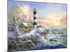 Winter Majesty-Nicky Boehme-Mounted Giclee Print