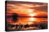 Winter Marsh Sunset, Central Valley, California-null-Stretched Canvas