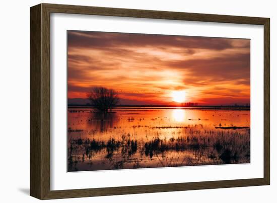 Winter Marsh Sunset, Central Valley, California-null-Framed Photographic Print