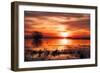 Winter Marsh Sunset, Central Valley, California-null-Framed Photographic Print