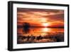 Winter Marsh Sunset, Central Valley, California-null-Framed Photographic Print