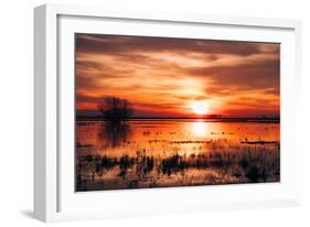 Winter Marsh Sunset, Central Valley, California-null-Framed Photographic Print