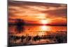 Winter Marsh Sunset, Central Valley, California-null-Mounted Photographic Print