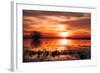 Winter Marsh Sunset, Central Valley, California-null-Framed Photographic Print