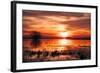 Winter Marsh Sunset, Central Valley, California-null-Framed Photographic Print