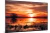 Winter Marsh Sunset, Central Valley, California-null-Mounted Photographic Print