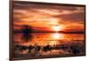 Winter Marsh Sunset, Central Valley, California-null-Framed Photographic Print