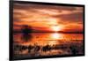 Winter Marsh Sunset, Central Valley, California-null-Framed Photographic Print