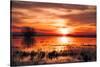 Winter Marsh Sunset, Central Valley, California-null-Stretched Canvas