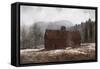 Winter Meadow-David Knowlton-Framed Stretched Canvas