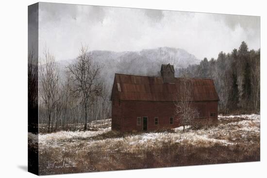 Winter Meadow-David Knowlton-Stretched Canvas