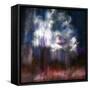 Winter Melody-Ursula Abresch-Framed Stretched Canvas