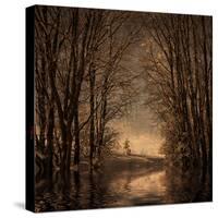 Winter Memory 2-Philippe Sainte-Laudy-Stretched Canvas