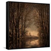 Winter Memory 2-Philippe Sainte-Laudy-Framed Stretched Canvas