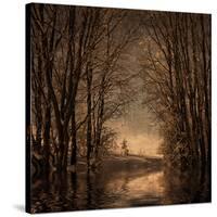 Winter Memory 2-Philippe Sainte-Laudy-Stretched Canvas
