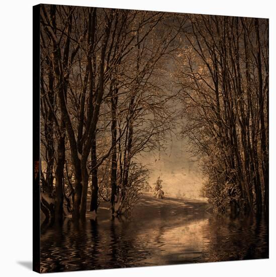 Winter Memory 2-Philippe Sainte-Laudy-Stretched Canvas